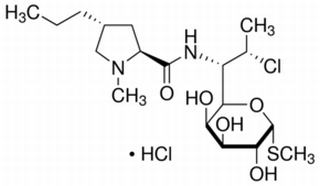 克林霉素鹽酸鹽