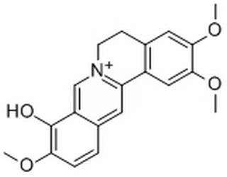 巴馬亭紅堿