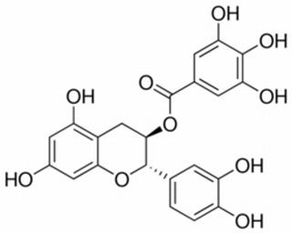 兒茶素沒(méi)食子酸酯
