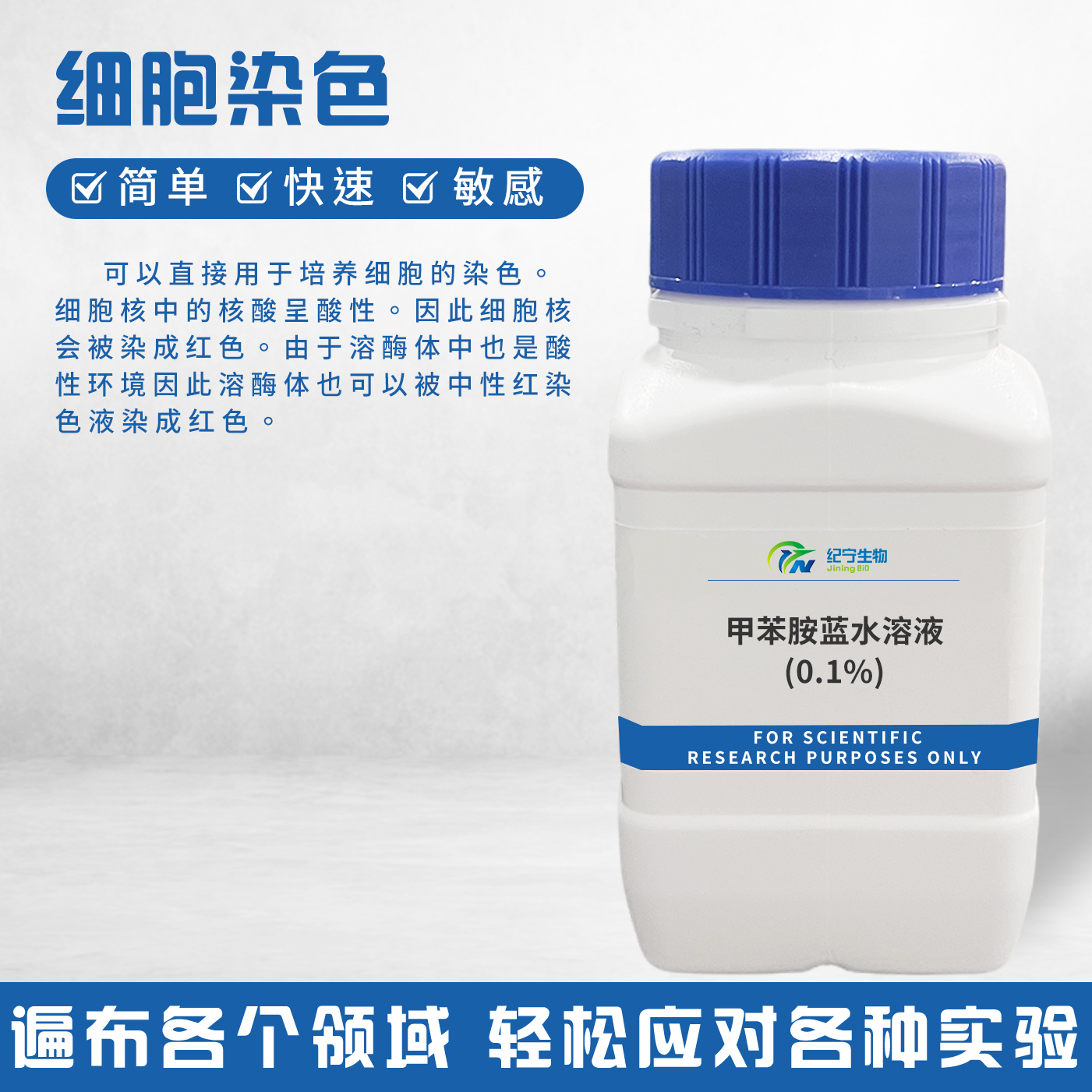 甲苯胺藍(lán)水溶液(0.1%)