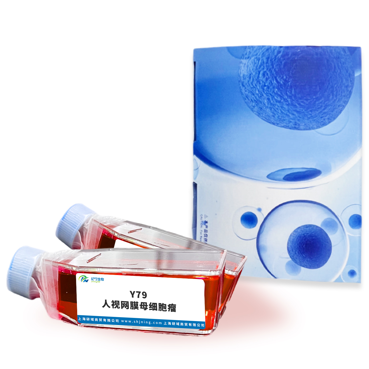 Y79人視網(wǎng)膜母細胞瘤